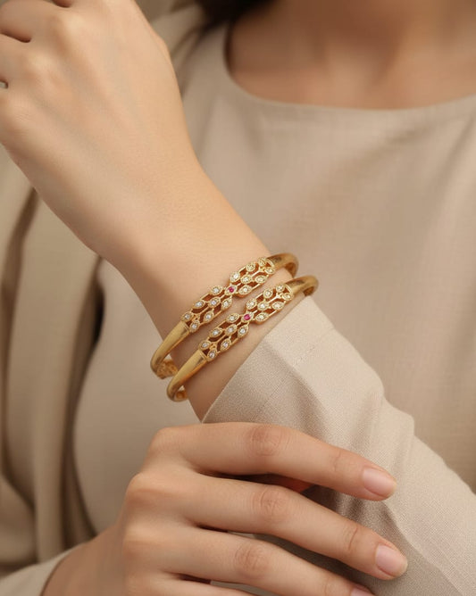 Micro Gold Plated And Diamond Studded Fancy 2 Pcs Bangle