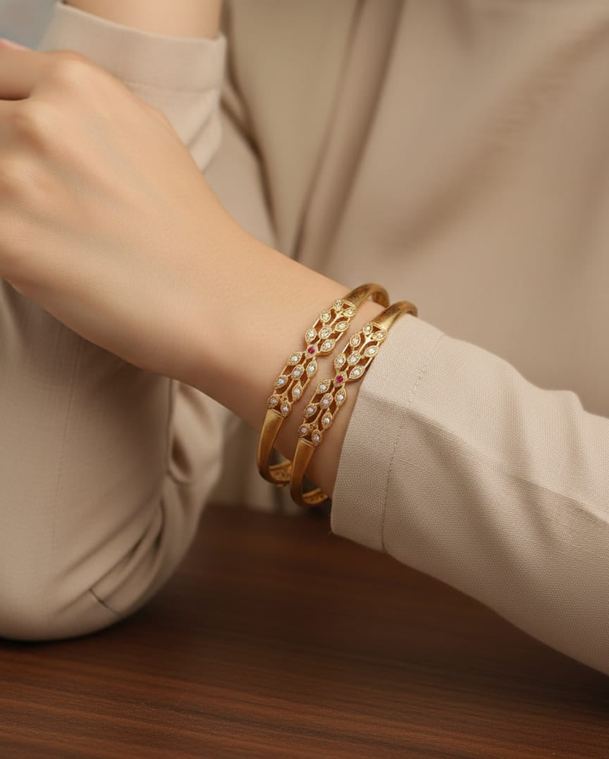 Micro Gold Plated And Diamond Studded Fancy 2 Pcs Bangle